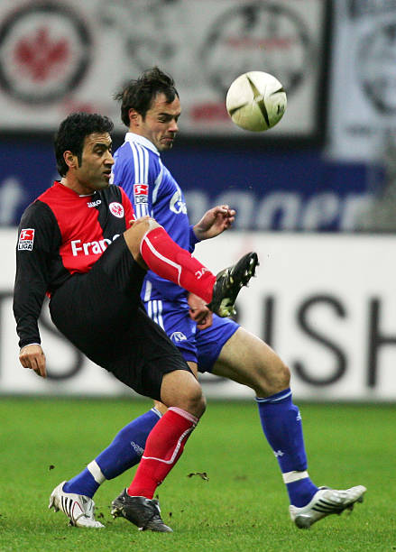 利用中国队 利用中国队